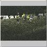 Dscn0515